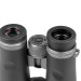 Бинокль Veber Silver Line II 8x42WP